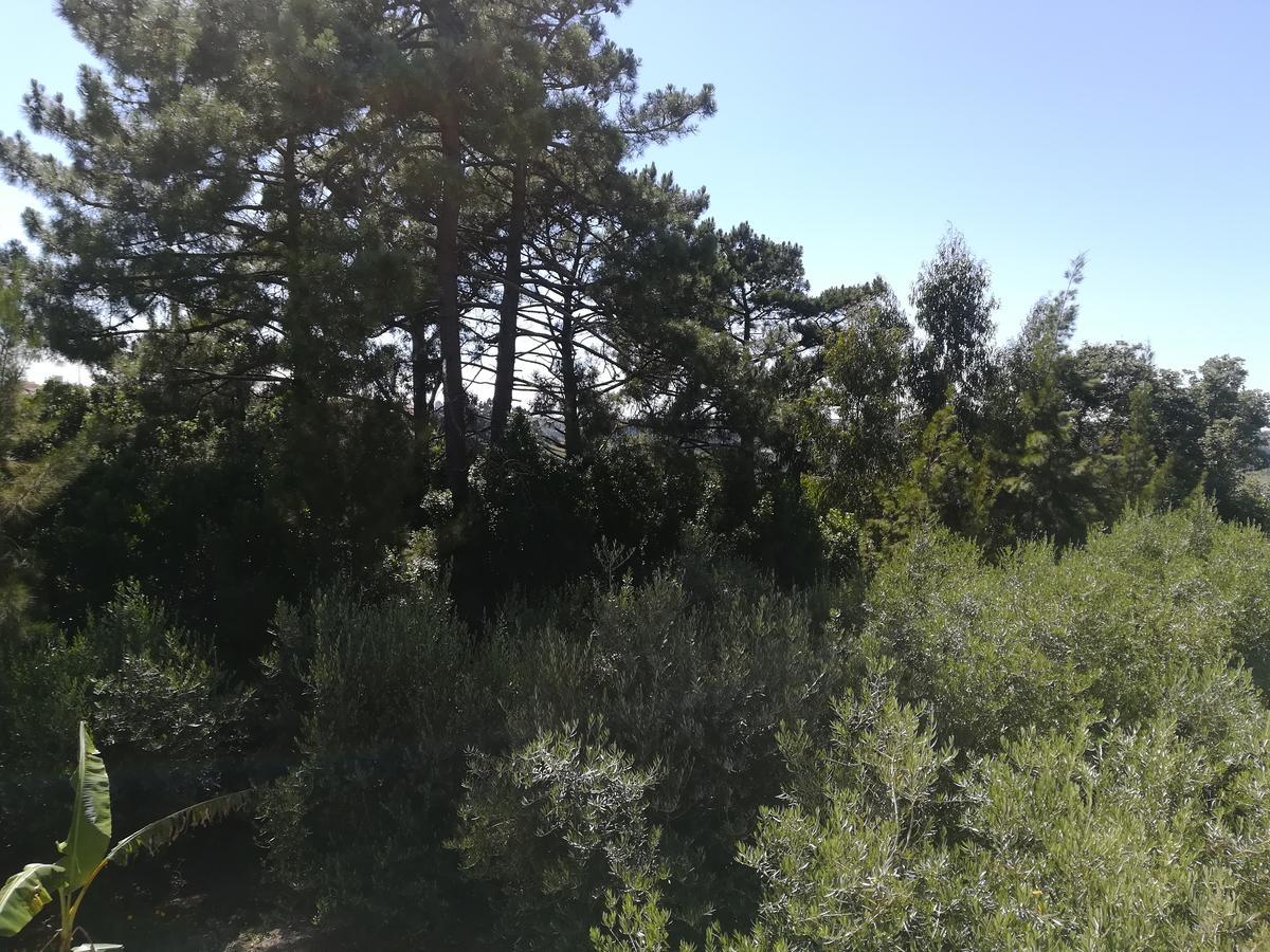 Quinta Vale Real Villa Alcobaça Dış mekan fotoğraf