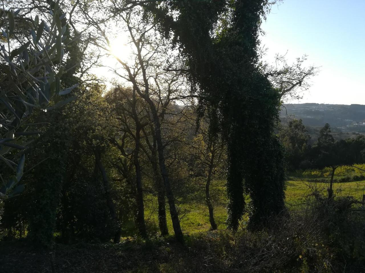 Quinta Vale Real Villa Alcobaça Dış mekan fotoğraf
